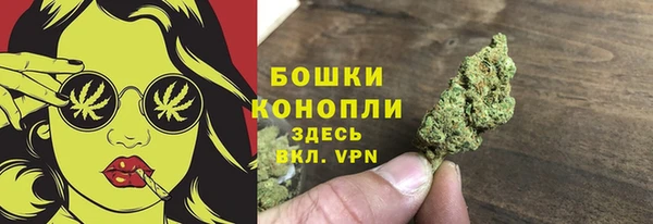 шишки Абдулино