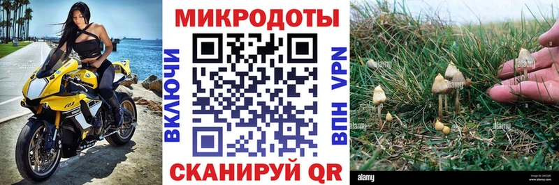 Галлюциногенные грибы ЛСД  гидра tor  Кедровый 